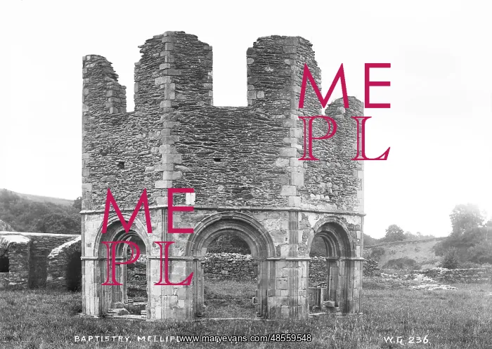 : Baptistery, Mellifont Abbey : Baptistery, Mellifont Abbey