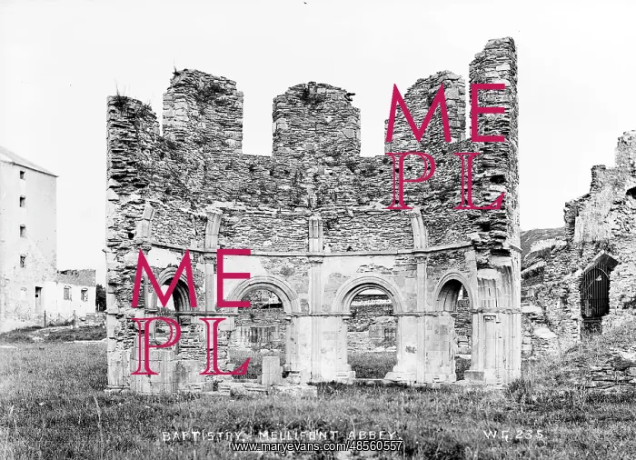: Baptistery, Mellifont Abbey : Baptistery, Mellifont Abbey