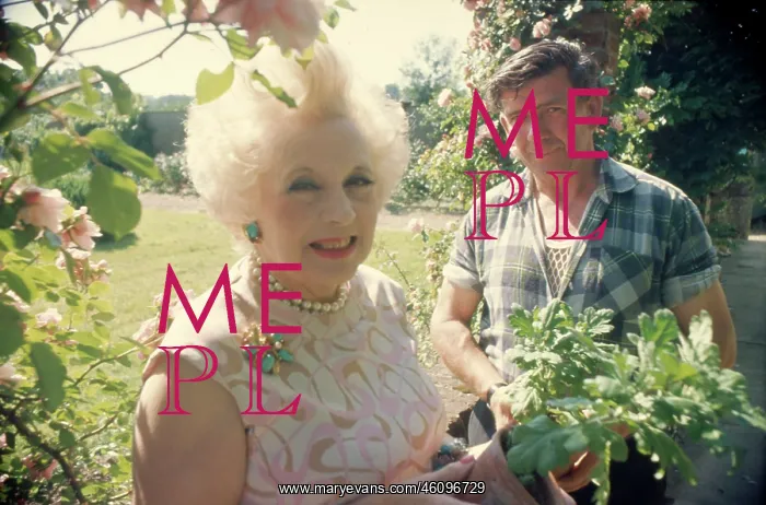 : Barbara Cartland - Novelist : Barbara Cartland - Novelist