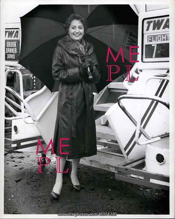 : Barbara Hammer, TV comedy writer : Barbara Hammer, TV comedy writer