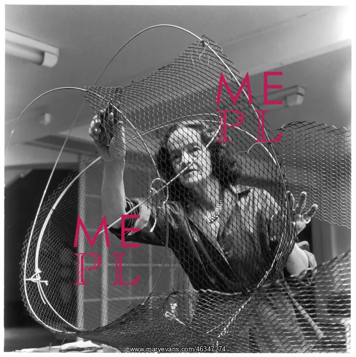 : BARBARA HEPWORTH : BARBARA HEPWORTH