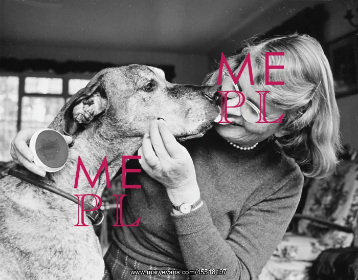 : BARBARA WOODHOUSE & DOG : BARBARA WOODHOUSE & DOG