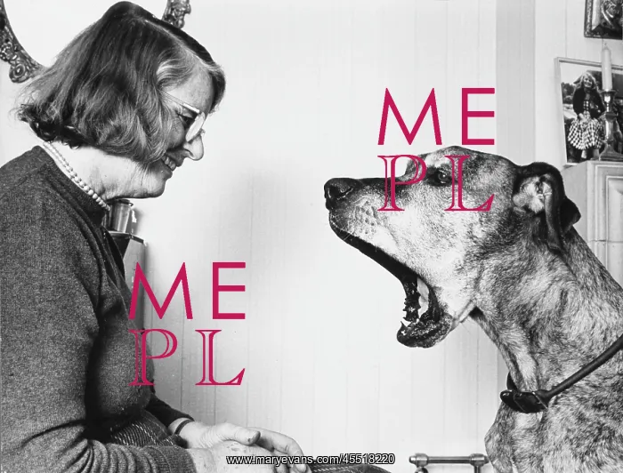 : BARBARA WOODHOUSE & DOG : BARBARA WOODHOUSE & DOG