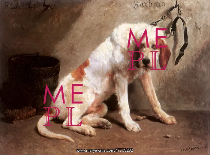  : Barbaro After the Hunt