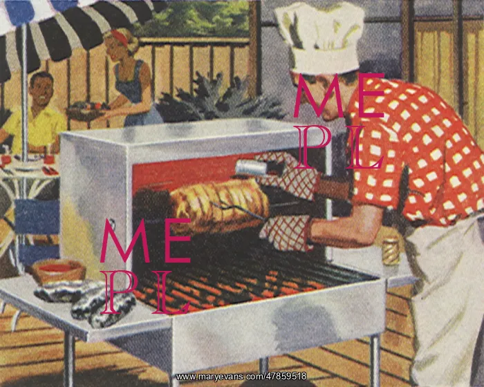 : Barbecuing on a Spit : Barbecuing on a Spit