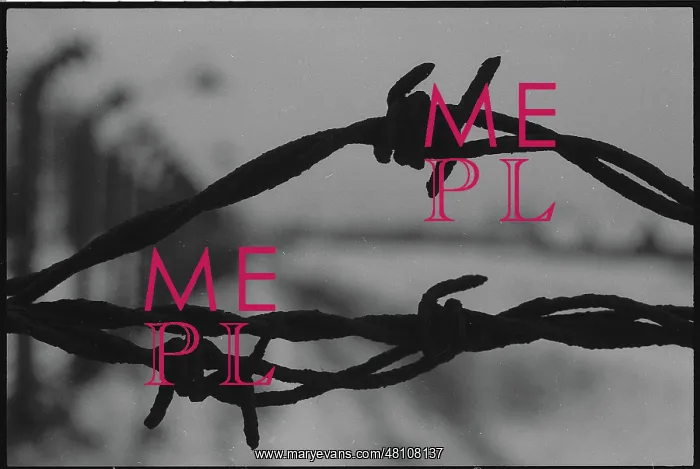 : Barbed wire from perimeter fence - Auschwitz : Barbed wire from perimeter fence - Auschwitz