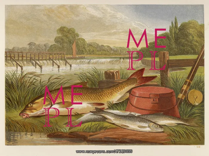  : A BARBEL AND A DACE