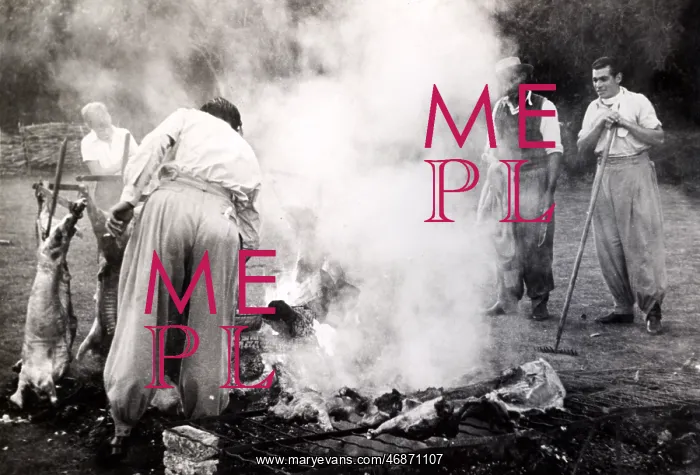  : Barbeque - in the South American Asado style