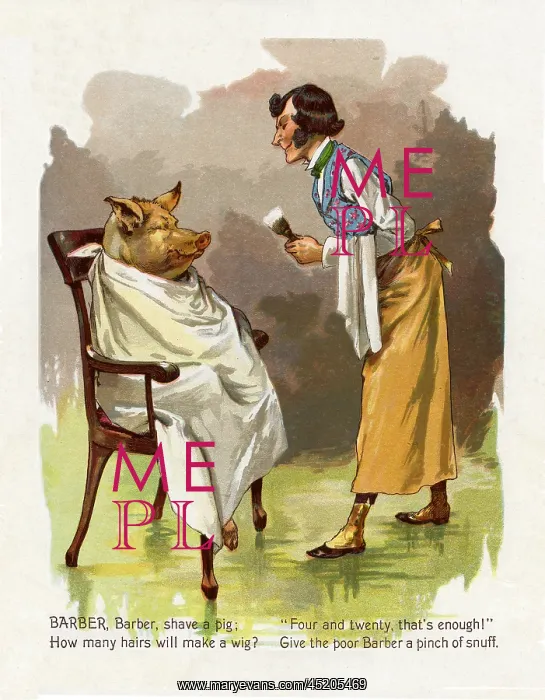 : Barber barber shave a pig : Barber barber shave a pig