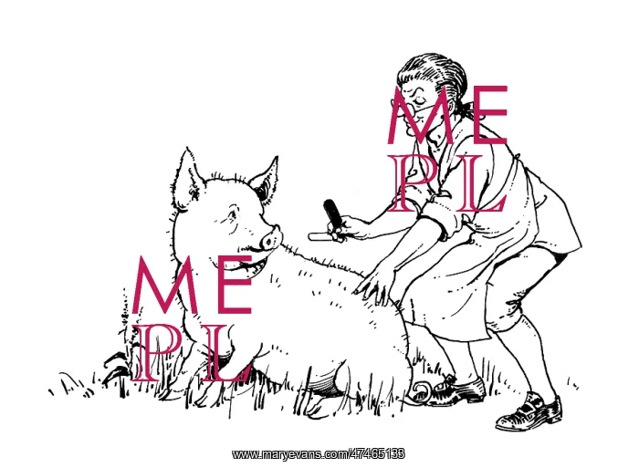 : Barber, Barber, Shave a Pig : Barber, Barber, Shave a Pig