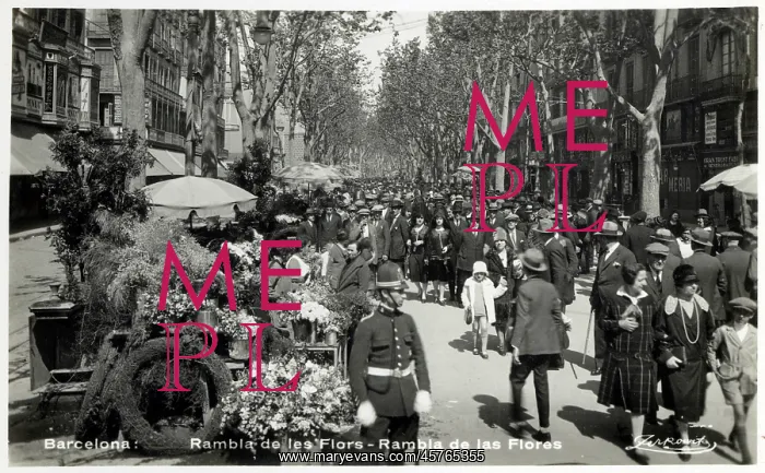 : Barcelona, Catalonia, Spain - La Rambla : Barcelona, Catalonia, Spain - La Rambla
