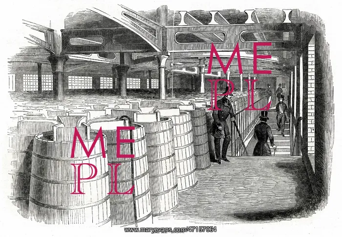 : Barclay and Perkins Brewery 1847 : Barclay and Perkins Brewery 1847