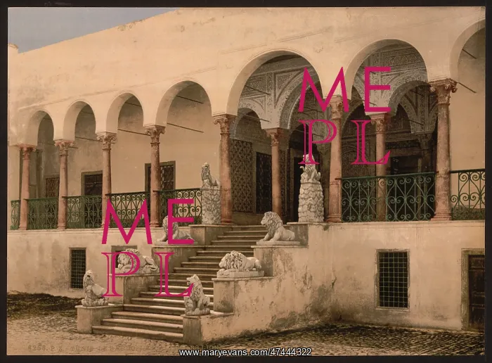 : Bardo, the lion staircase, Tunis, Tunisia : Bardo, the lion staircase, Tunis, Tunisia