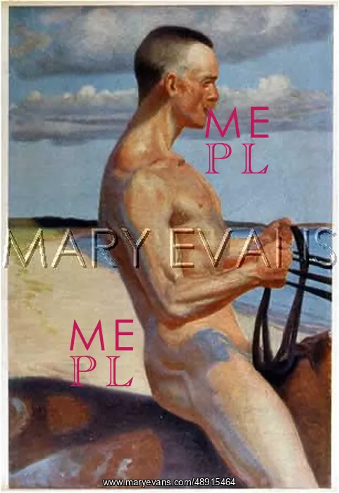  : BARE BAREBACK RIDER