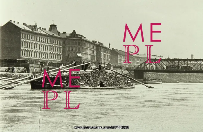 : Barge loaded with logs on the Danube canal : Barge loaded with logs on the Danube canal