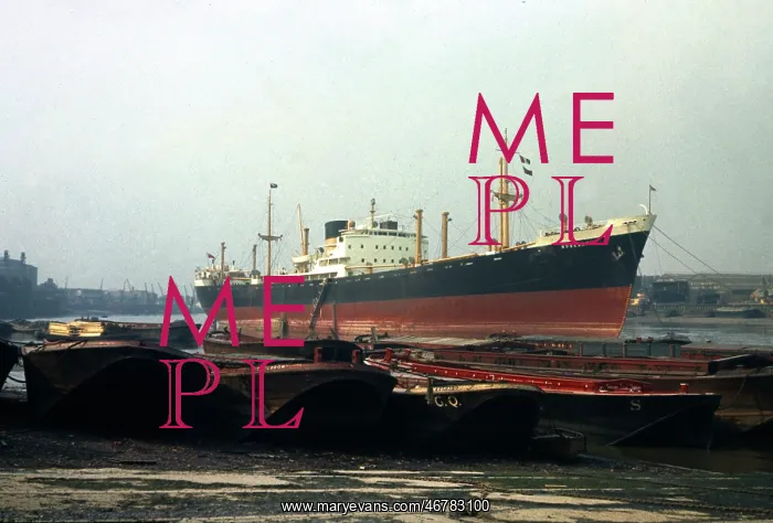 : Barges on River Thames, with SS Rosebank : Barges on River Thames, with SS Rosebank