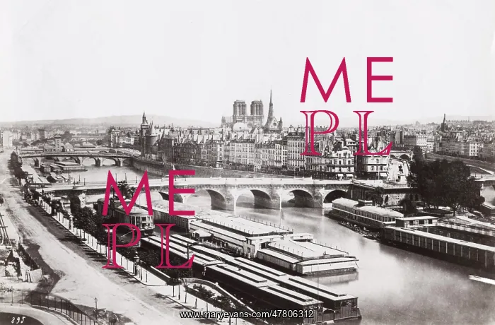 : Barges, swimming baths, River Seine, Notre Dame, Paris : Barges, swimming baths, River Seine, Notre Dame, Paris