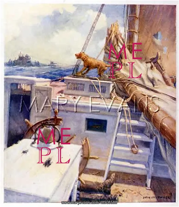 : BARKING AT SUBMARINE : BARKING AT SUBMARINE