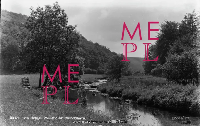 : The Barle Valley at Simonsbath : The Barle Valley at Simonsbath