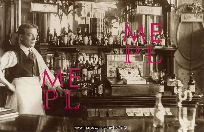 : Barman standing by well-stocked bar : Barman standing by well-stocked bar