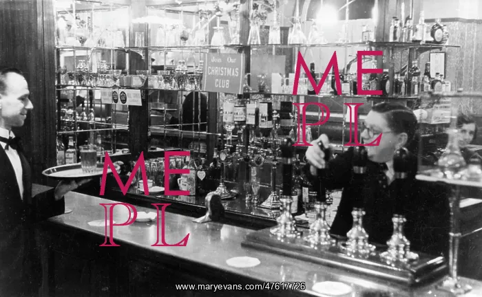 : Barman and waiter working in a bar : Barman and waiter working in a bar