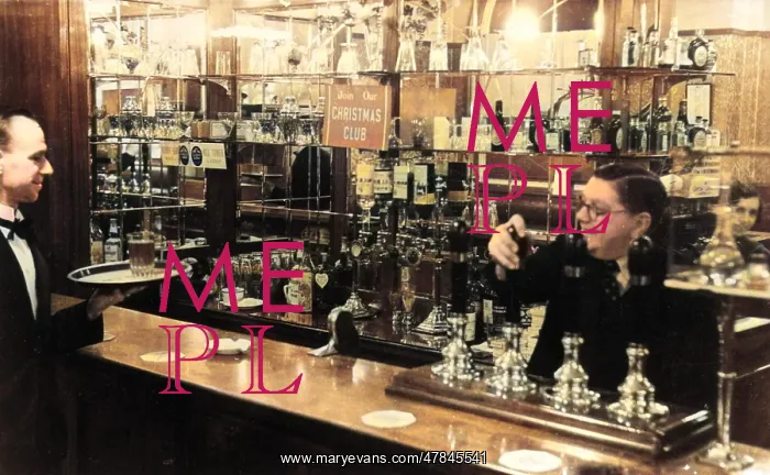 : Barman and waiter working in a bar : Barman and waiter working in a bar
