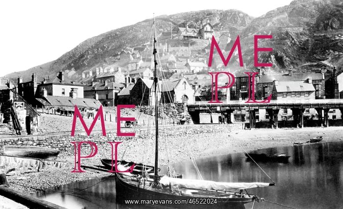  : Barmouth, the Quay 1889