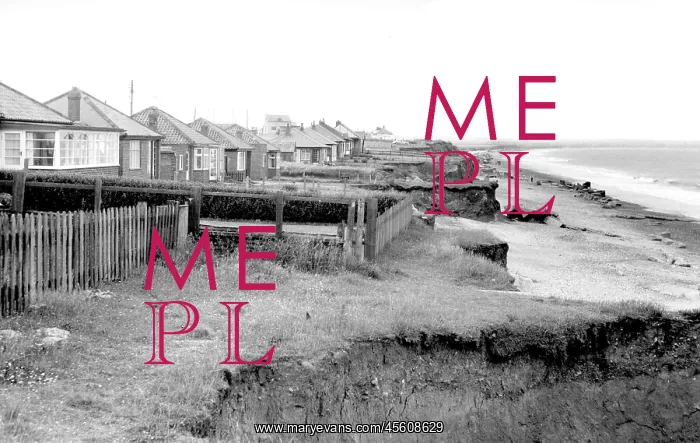  : Barmston, South Cliff Bungalows c1955