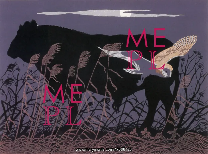 : BARN OWL / BULL MOONLIGHT : BARN OWL / BULL MOONLIGHT