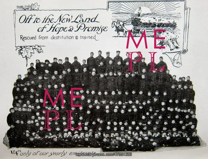: Some Barnardo's Emigrants : Some Barnardo's Emigrants