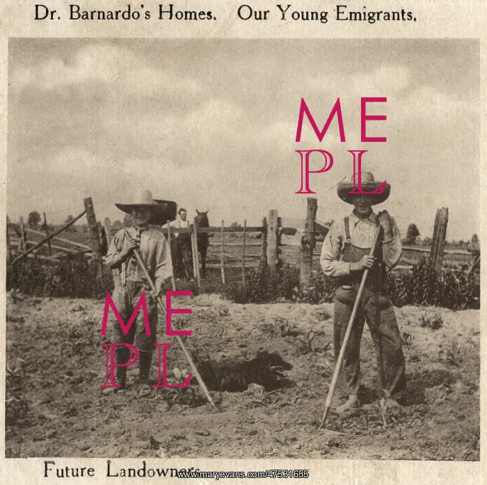 : Barnardo's Emigrants in Canada : Barnardo's Emigrants in Canada