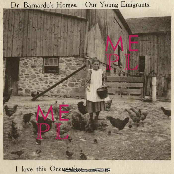  : Barnardo's Emigrants in Canada