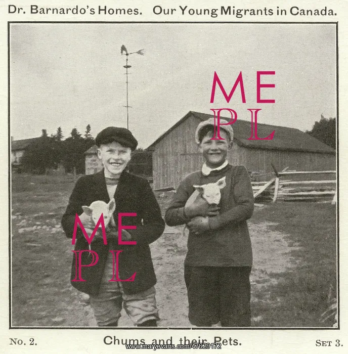 : Barnardo's Emigrants in Canada - Chums and their Pets : Barnardo's Emigrants in Canada - Chums and their Pets