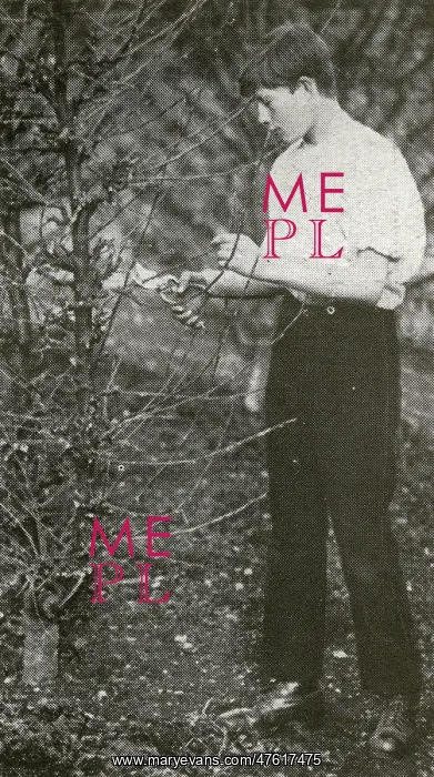 : Barnardo's Home Gardener : Barnardo's Home Gardener