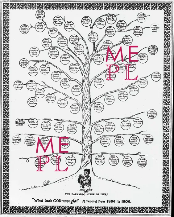 : Barnardo's Tree of Life 1866-1906 : Barnardo's Tree of Life 1866-1906