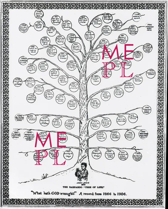 : Barnardo's Tree of Life 1866-1906 : Barnardo's Tree of Life 1866-1906
