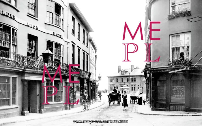  : Barnstaple, the Athenaeum 1906