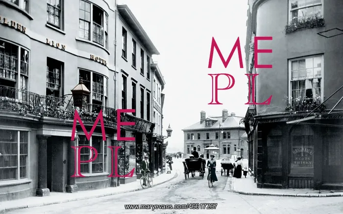  : Barnstaple, the Athenaeum 1906