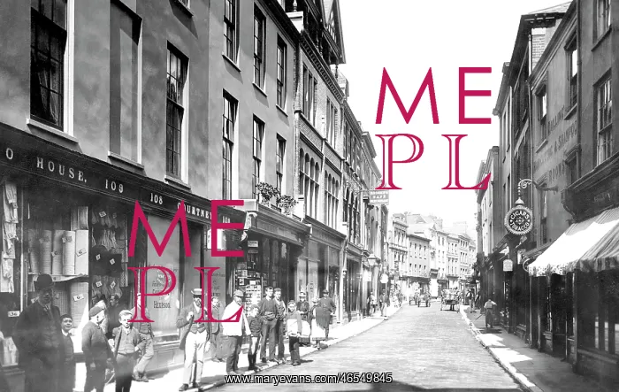  : Barnstaple, High Street 1894