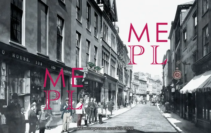  : Barnstaple, High Street 1894