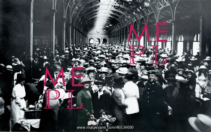  : Barnstaple, the Market 1919