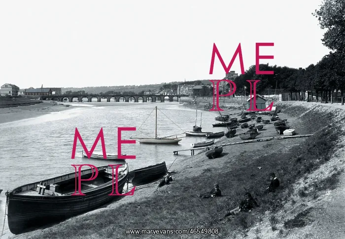 : Barnstaple, from South Walk 1894