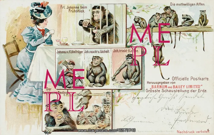 : Barnum & Bailey Chimps : Barnum & Bailey Chimps