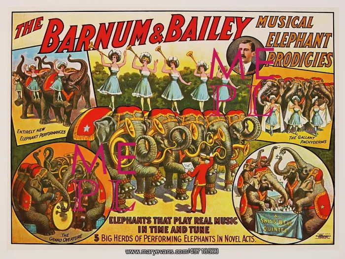 : Barnum & Bailey - circus : Barnum & Bailey - circus