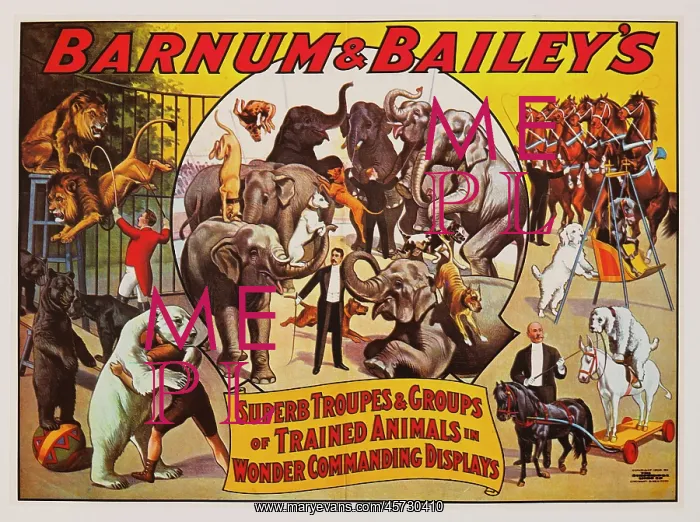 : Barnum & Bailey - circus : Barnum & Bailey - circus