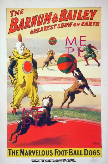 : The Barnum & Bailey greatest show on earth. The marvelous f : The Barnum & Bailey greatest show on earth. The marvelous f