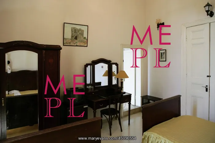: Baron Hotel, Aleppo, Syria : Baron Hotel, Aleppo, Syria