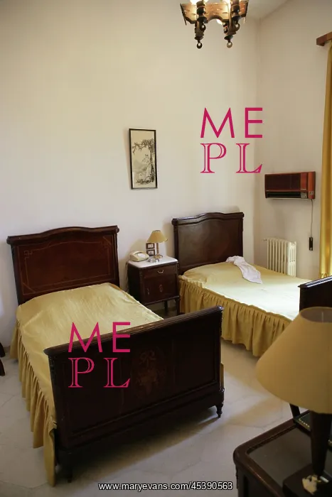 : Baron Hotel, Aleppo, Syria : Baron Hotel, Aleppo, Syria
