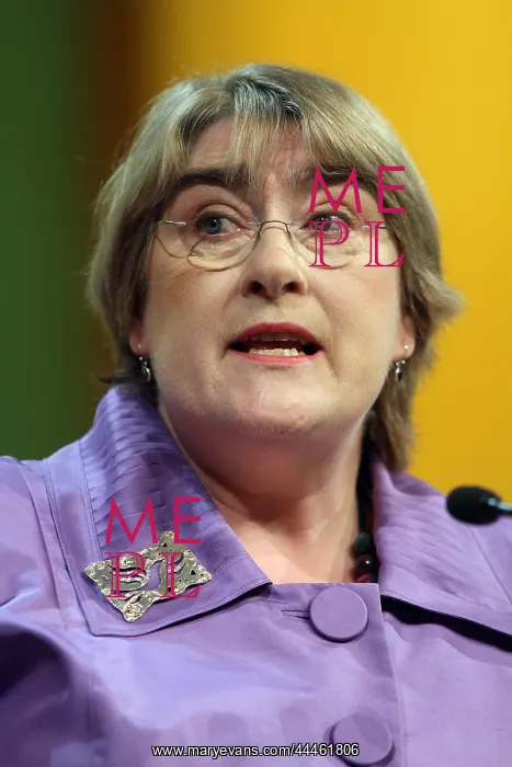 : Baroness Brinton : Baroness Brinton