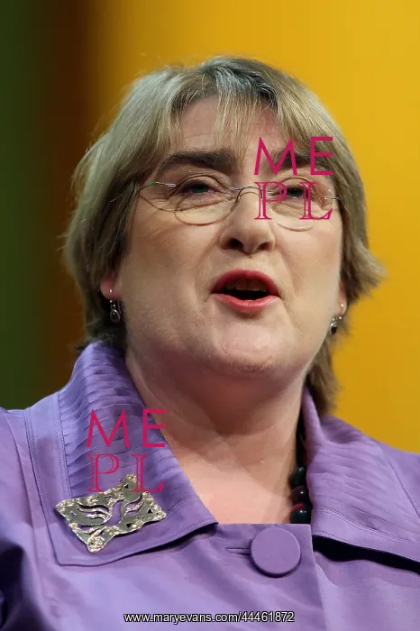 : Baroness Brinton : Baroness Brinton
